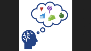 AI/ML Brain Food – Part 1: Where to Start?